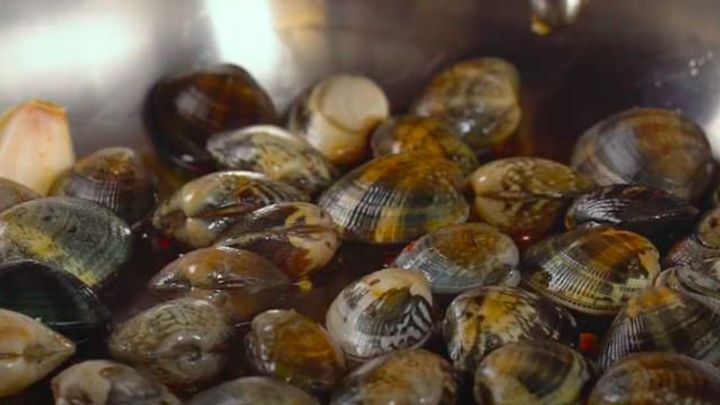 Gnocchetti vongole, funghi e rucola | Ricetta Chef in Camicia