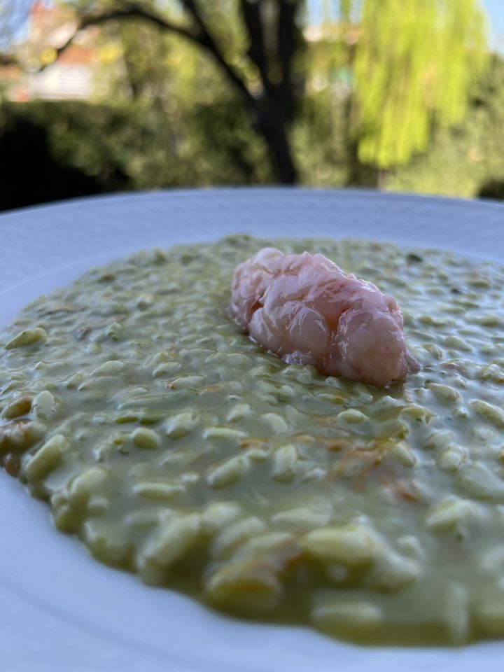 Risotto con zucchine, fiori di zucchina e scampi crudi | Ricetta Chef ...